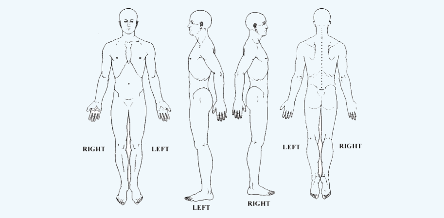 Pain Locator